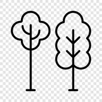 forest, forestry, forestry products, logs icon svg