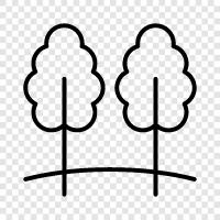 forest, leaves, branches, bark icon svg