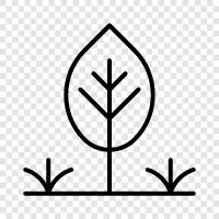 Wald, Blätter, Zweig, Blatt symbol