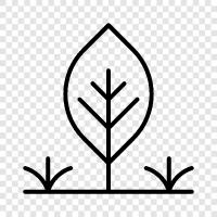 Forest, Nature, Environment, Green icon svg