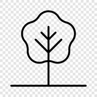 Wald, Holz, Holzfäller, Baumhaus symbol