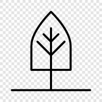 forest, forest fire, foliage, needles icon svg