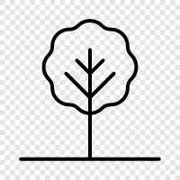 Wald, Umwelt, Grün, Umweltfreundlich symbol