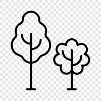 forest, leaves, bark, branches icon svg