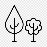 Forest, Wood, Branches, Leaves icon svg