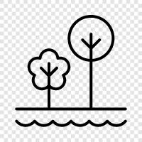 Wald, Natur, Spielplatz, Picknick symbol