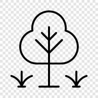 forest, lumber, bark, leaves icon svg