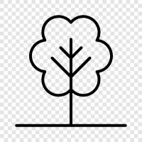 Forest, Arbor, Foliage, Branch icon svg