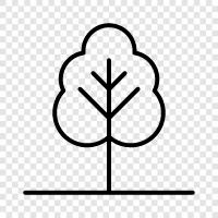 Wald, Natur, Umwelt, Ökosystem symbol