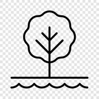 forest, plant, foliage, needle icon svg