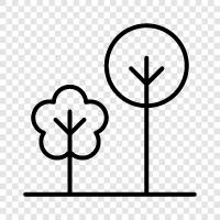 forest, leaves, branches, bark icon svg