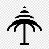 Forest, Growth, Longevity, Tree icon svg