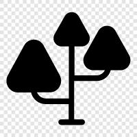 forest, growth, leaves, needles icon svg