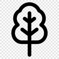 Baum, Wald, Holz, Baumstamm symbol