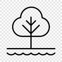 orman, sapling, growth, leaves ikon svg