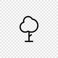 Forest, Foliage, Branches, Leaves icon svg