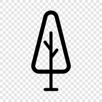 Forest, Wood, Forest Floor, Bark icon svg