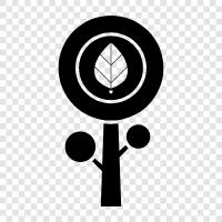 forestry, tree planting, tree care, tree diseases icon svg