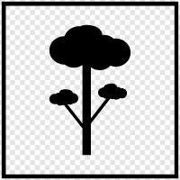 forestry, forestry management, trees and forests, trees and climate change icon svg