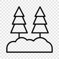 forestry, plants, trees and gardens, forestry and ecology icon svg