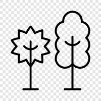 forestry, lumber, wood, tree icon svg