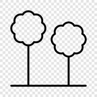 forestry, tree, trees, forest icon svg