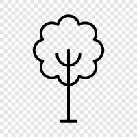 Forestry, Plant, Fertilizer, Planting icon svg