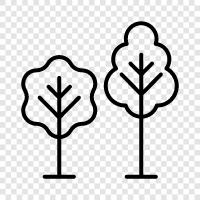 forestry, landscape, trees icon svg