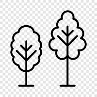 forestry, planting, care, trees for sale icon svg