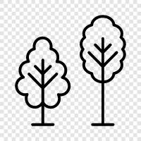 Forestry, Woodworking, Arboriculture, Foliage icon svg