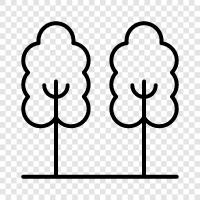 forestry, tree care, tree harvesting, tree planting icon svg