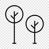 forestry, leaves, bark, branches icon svg