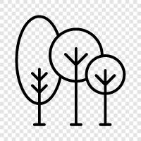 forestry, leaves, bark, branches icon svg