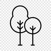 forestry, lumber, wood, saplings icon svg