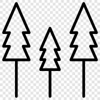 forestry, forestry technician, forest products, forest land icon svg