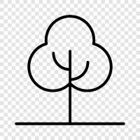 forestry, wood, lumber, tree planting icon svg