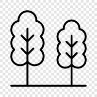 forestry, forestry management, lumber, logging icon svg