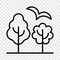 forestry, leaves, bark, flowers icon svg