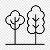 forestry, lumber, wood, lumberjacking icon svg