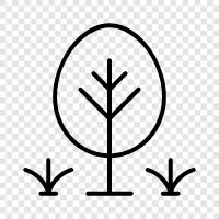 Holz, Säge, Wald, Baum symbol