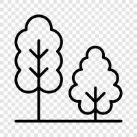 forestry, leaves, bark, branches icon svg