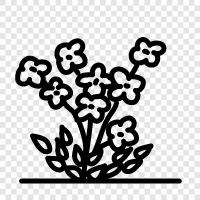 forgetmenot reminder, forgetmenot reminder app, forgetmenot icon svg