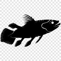 fossiler Fisch, prähistorischer Fisch, Ichthyologie, alter Fisch symbol