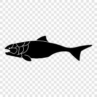 fosil, ichthyology, fish, prehistoric ikon svg