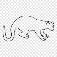 fossor, fossorial, fossoriality, fossa ikon svg