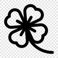 four leaf clover, luck, good luck, happy icon svg