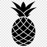 fresh, healthy, delicious, Pineapple icon svg