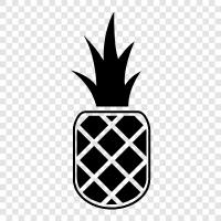 fresh pineapple, canned pineapple, pineapple juice, pineapple recipes icon svg