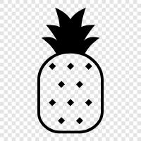 taze ananas, konserve ananas, peneaple suyu, peneaple parçaları ikon svg