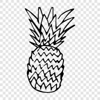 fresh pineapple, canned pineapple, pineapple juice, pineapple rings icon svg